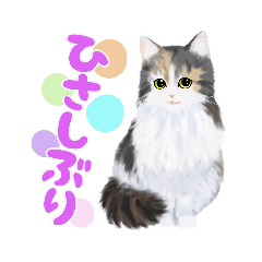 [LINEスタンプ] うちの猫(コ)みつけた♪part3