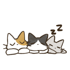 [LINEスタンプ] 飼い主と6匹のねこ(文字なし)