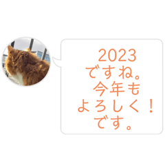 [LINEスタンプ] みーくん2023よろしくにやあー