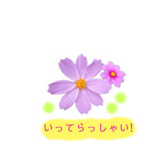 [LINEスタンプ] お庭のお花で作ったスタンプ