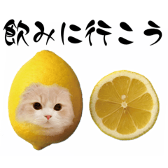 [LINEスタンプ] Milku＆Lemon