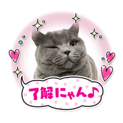 [LINEスタンプ] ⭐︎Jillランド⭐︎の画像（メイン）