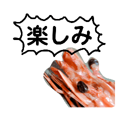 [LINEスタンプ] 夕食の海老の残骸