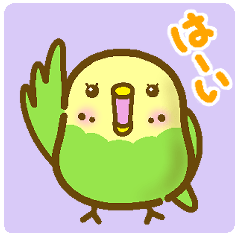 [LINEスタンプ] 毎日◎まるまるインコさん(黄×緑)