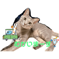 [LINEスタンプ] こんにゃく②
