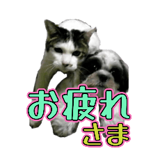 [LINEスタンプ] 組み合わせ自由で送るデカ文字！！