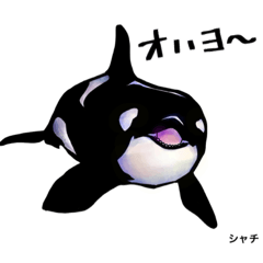 [LINEスタンプ] 知床の海の生きもの