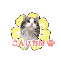 [LINEスタンプ] れお琥珀ベル