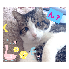 [LINEスタンプ] 武居Family37