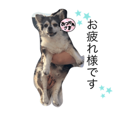 [LINEスタンプ] ほのぼの家族。