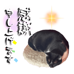 [LINEスタンプ] シヒタンとハナ15