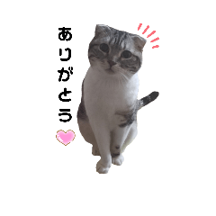 [LINEスタンプ] もも大好き芸人