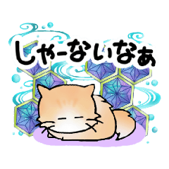 [LINEスタンプ] 短い足の猫さん2〜関西弁〜