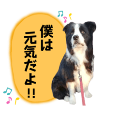 [LINEスタンプ] ライトとミントナ