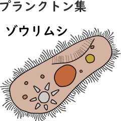 [LINEスタンプ] プランクトン アニメーション