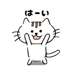 [LINEスタンプ] ふつーネコが程よく使えるの画像（メイン）