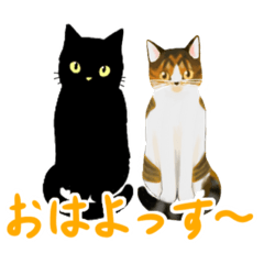 [LINEスタンプ] ジジとミミの山形弁スタンプ