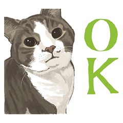 [LINEスタンプ] キジトラ白の猫たち