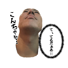 [LINEスタンプ] てるたんぷ。