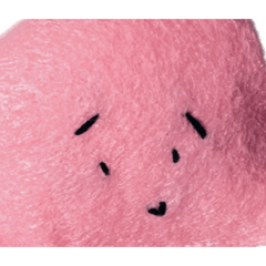 [LINEスタンプ] むぽちゃんこぷちゃん
