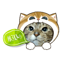 [LINEスタンプ] 北の国オールスターズDF＆DS特盛り