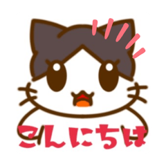 [LINEスタンプ] 猫のくるみのイラストスタンプ