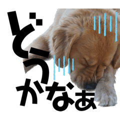 [LINEスタンプ] 毎日使える ゆるーいmugi3