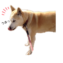 [LINEスタンプ] cumomeの画像（メイン）