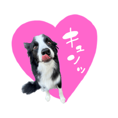 [LINEスタンプ] ルークスタンプ③