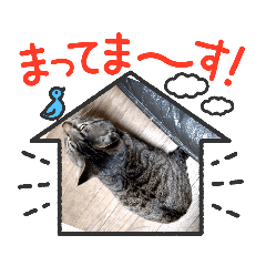 [LINEスタンプ] ☆太郎の日常④