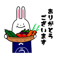 [LINEスタンプ] 使える！うさこの日常スタンプ