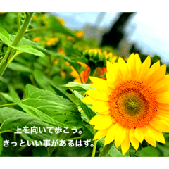 [LINEスタンプ] 臭いセリフを語ろう