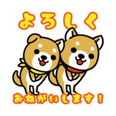 [LINEスタンプ] isshindo