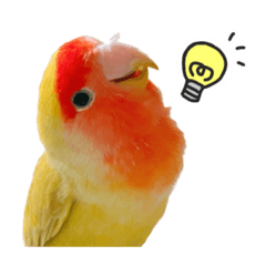 [LINEスタンプ] らぶばあああっっど