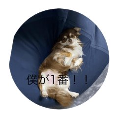 [LINEスタンプ] ジェリー最高スタンプ