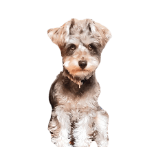 [LINEスタンプ] すこやかdog