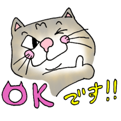 [LINEスタンプ] たまーに博多弁ば喋るねこ