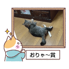 [LINEスタンプ] ☆太郎の日常⑦