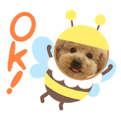 [LINEスタンプ] いちごワンだよ5