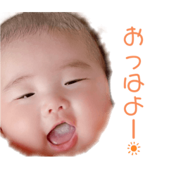 [LINEスタンプ] こと❣️スタンプ