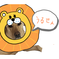 [LINEスタンプ] 3回目のまめの画像（メイン）