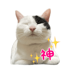 [LINEスタンプ] ソラさんのスタンプ Ver.1