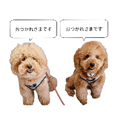 [LINEスタンプ] 仕事用といぷーどる(仮)