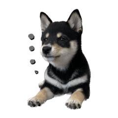 [LINEスタンプ] くろしばちゃんの家