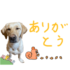 [LINEスタンプ] 2.5回目のまめ