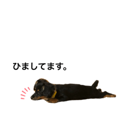 [LINEスタンプ] いつでもつくね3