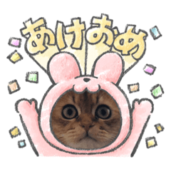 [LINEスタンプ] ネコたん(お正月入り)