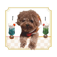 [LINEスタンプ] プードル犬マロン6
