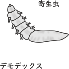 [LINEスタンプ] 寄生虫 アニメ