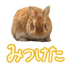 [LINEスタンプ] 大好きぺんたん
